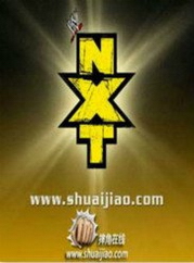 观看剧情片美国摔跤联盟NXT
