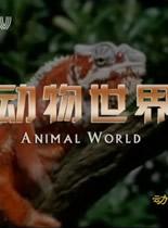 观看科幻片动物世界-宅居动物