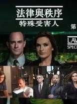 观看海外剧法律与秩序：特殊受害人第十二季