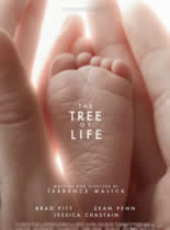 观看纪录片生命之树/永生树