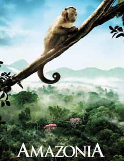 观看综艺节目绿色星球/亚马逊丛林大冒险之萌猴奇遇记