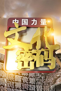 观看综艺节目文化密码2012