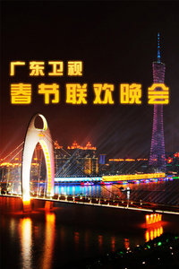 观看动作片广东卫视春节联欢晚会2012