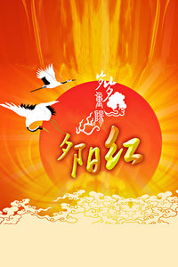 观看爱情片夕阳红2012