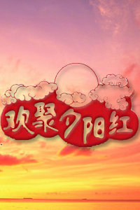 观看爱情片欢聚夕阳红2011