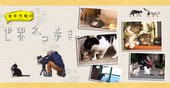 观看剧情片岩合光昭の猫步走世界~津轻的四季 秋冬特別篇