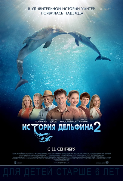 观看剧情片一只海豚的传说2/海豚的故事2
