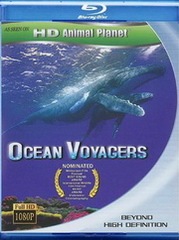 动物星球系列：鲸奇之旅