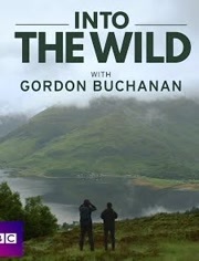 BBC:和戈登·布坎南野外探险