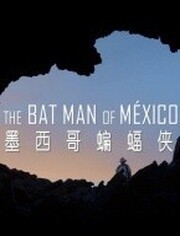墨西哥的蝙蝠侠